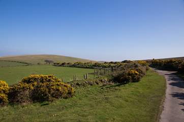 Exmoor National Park is just a short drive away, with the most incredible views, wide open space and tracks and paths to explore.