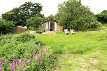 Sitting in its own spot of the large meadow enjoying fabulous views.