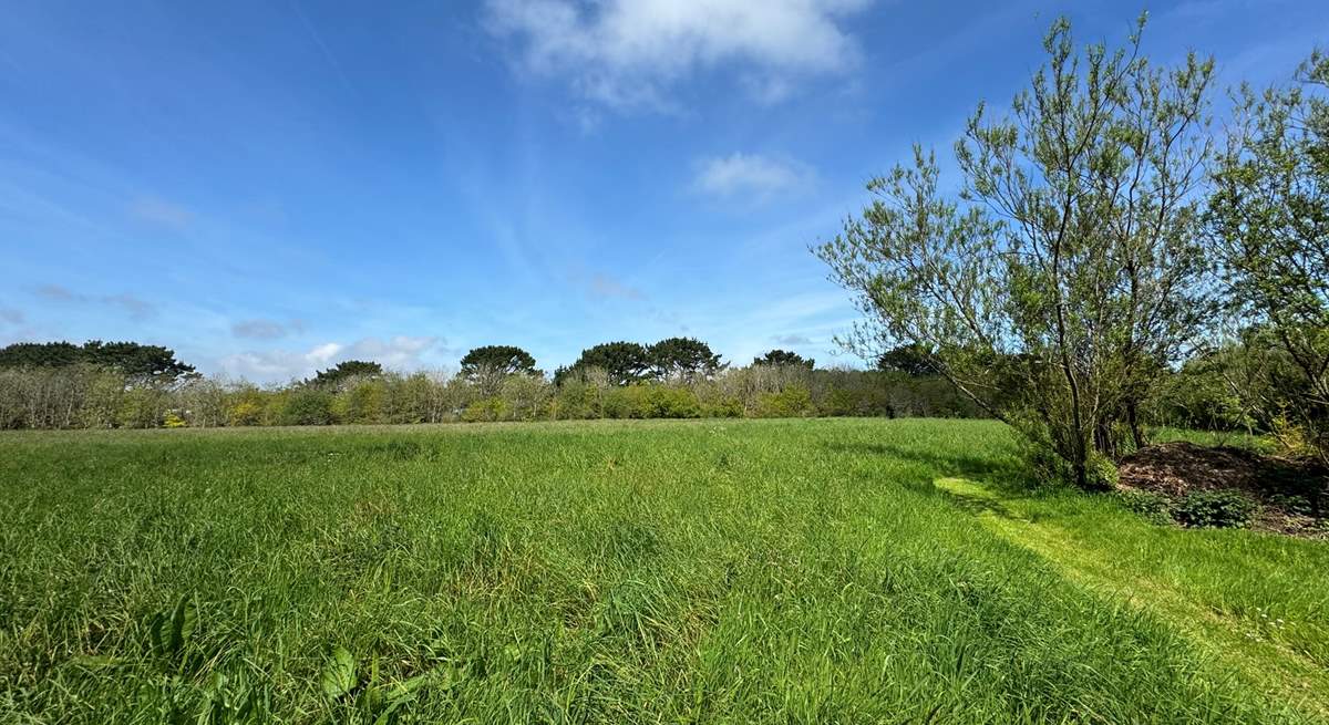 Plenty of room to roam around shared with guests staying at West Barn.