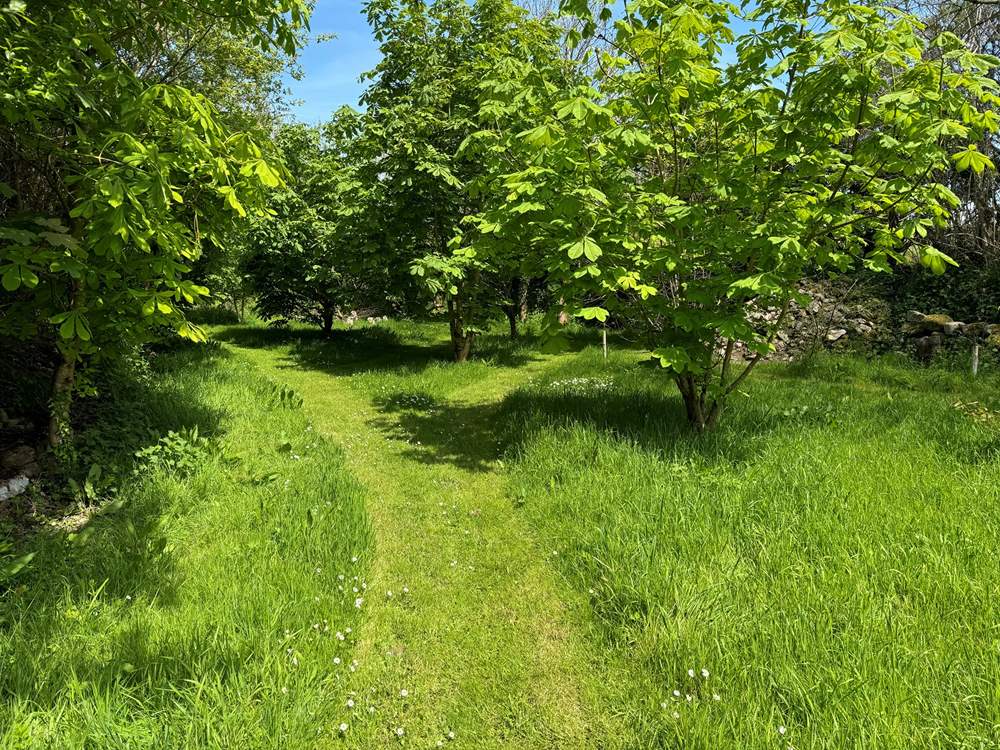 Pretty trails to explore.