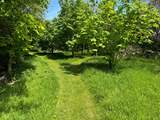 Pretty trails to explore.