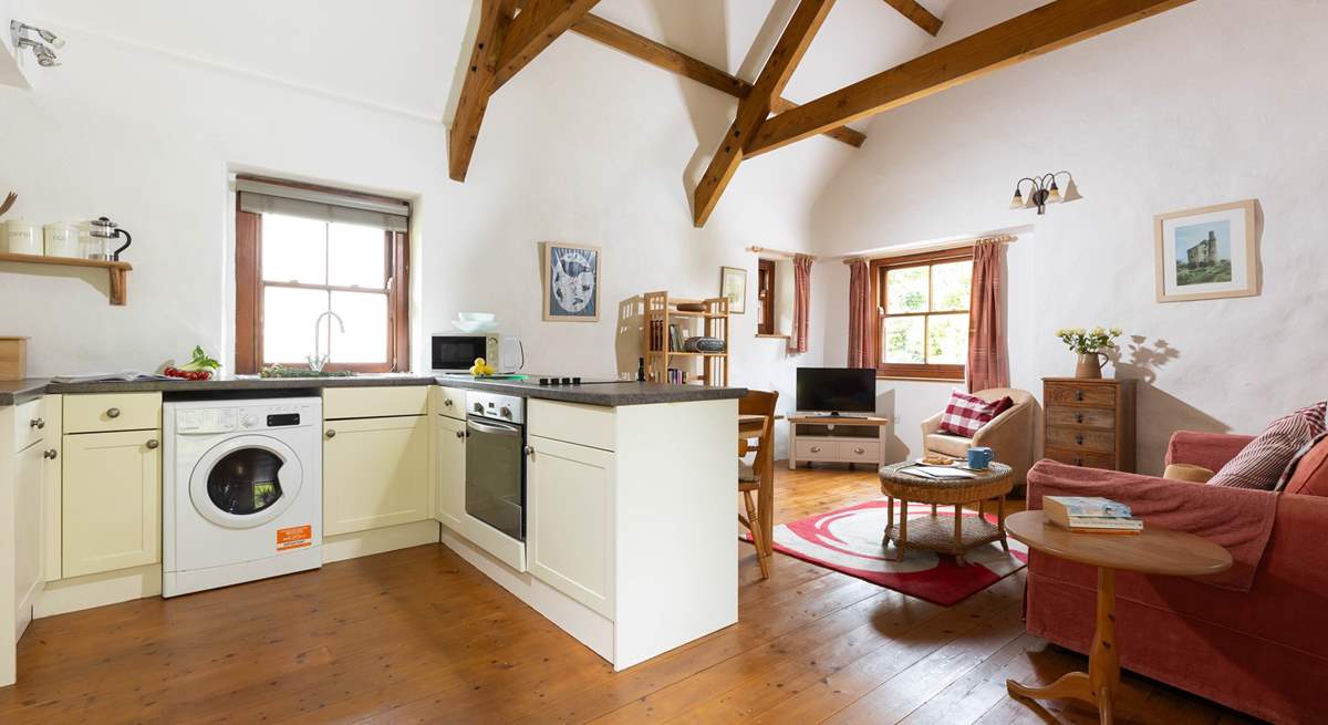 The well-equipped kitchen in the open plan living space.