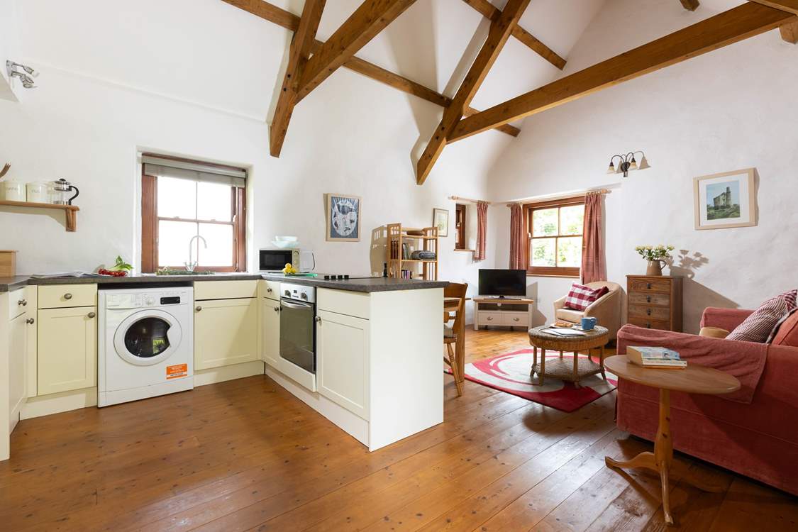 The well-equipped kitchen in the open plan living space.