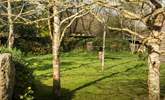 The communal garden space, where you might bump into the lovely owners. - Thumbnail Image