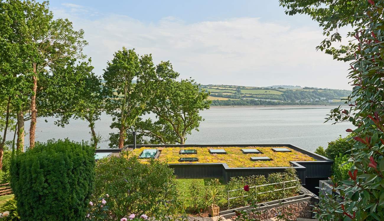 Looking out over the living green roof of Meadowcliff Cottage.