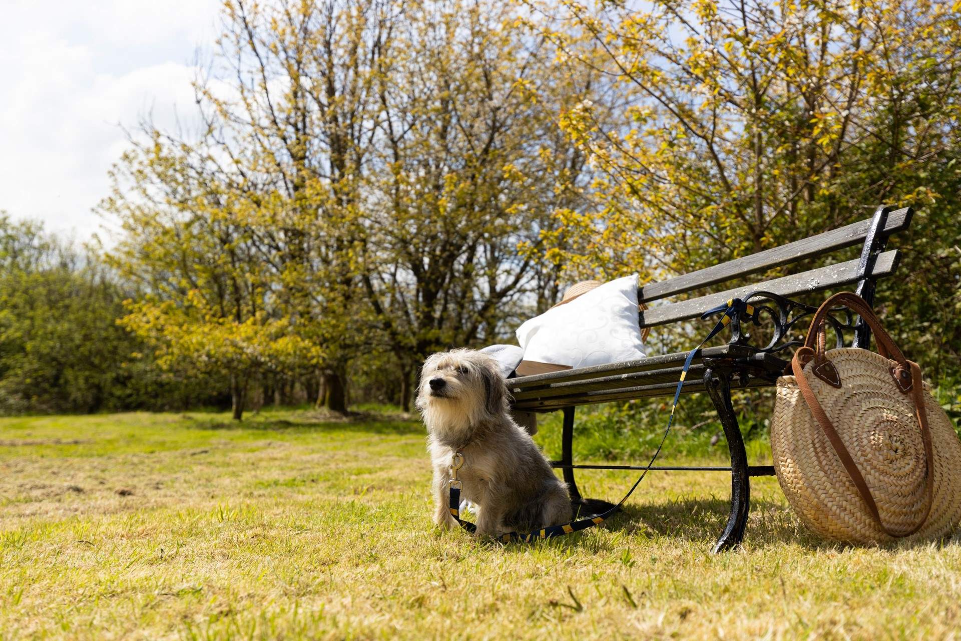 Dogs on leads are welcome (the owner has a cat that lives on site). 