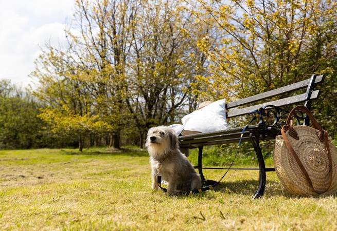 Dogs on leads are welcome (the owner has a cat that lives on site). 
