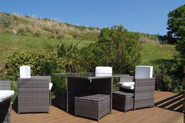 Relax on the terrace in the huge enclosed garden.