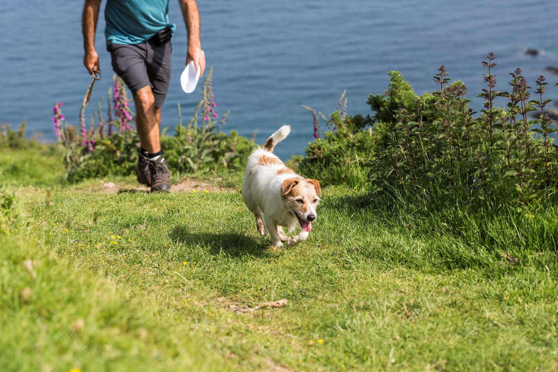 Your four legged friend is most welcome.