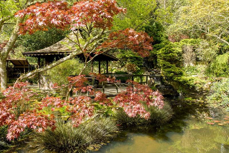 The Japanese Gardens are quite stunning.