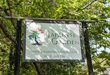 Take a stroll down to the Japanese Garden.