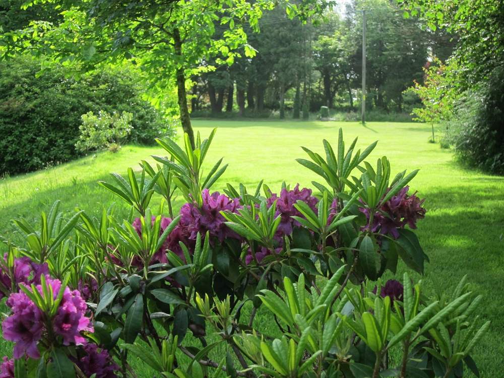 A stroll around these lovely grounds is a real pleasure.