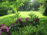 A stroll around these lovely grounds is a real pleasure.