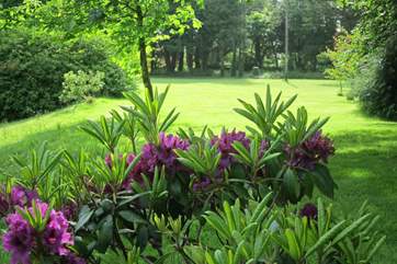 A stroll around these lovely grounds is a real pleasure.