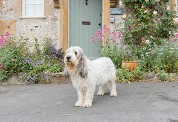 Your four-legged friends are very welcome!