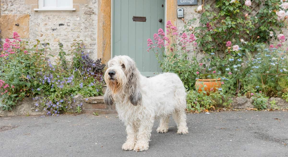 Your four legged friends are very welcome!