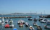 Lyme Regis with its iconic Cobb is still a working fishing port and so much more. - Thumbnail Image