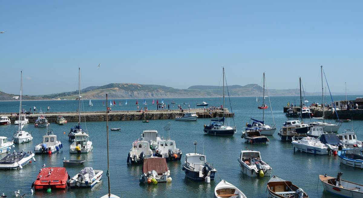 Lyme Regis with its iconic Cobb is still a working fishing port and so much more.