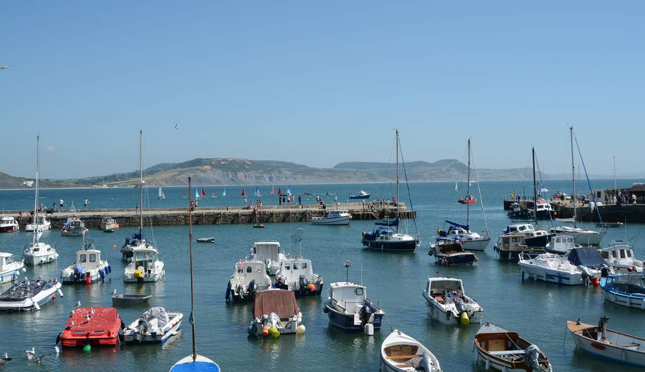 Lyme Regis with its iconic Cobb is still a working fishing port and so much more.