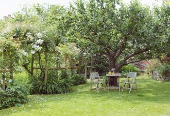 A shady spot set in a classic English garden.