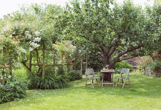 A shady spot set in a classic English garden.