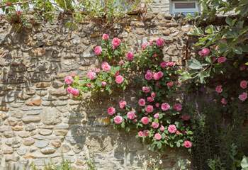 Delightful flowers can be found throughout the garden including a rose that smells of liquorice!