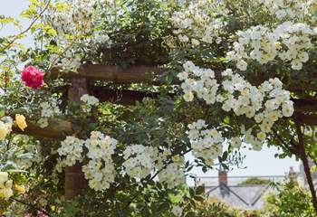 And the flower show goes on!