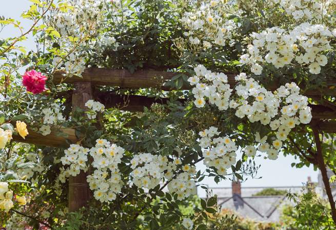 And the flower show goes on!