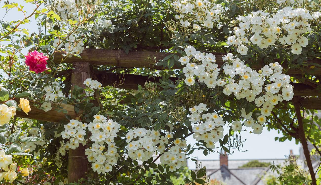 And the flower show goes on!