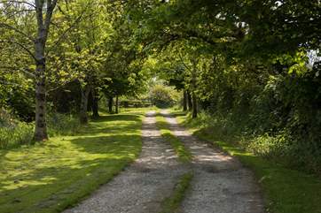 The pretty private drive to Chygowlin House.