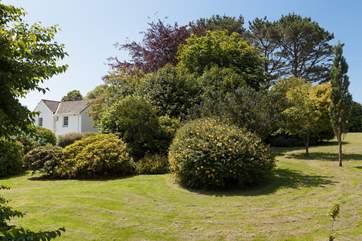 The garden is perfect for a game of hide and seek.