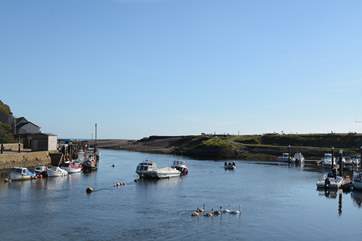 Tranquil Axmouth where you can sit and watch the world go by.