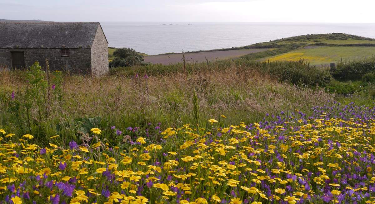 A great area for exploring the cliff paths of the far west.