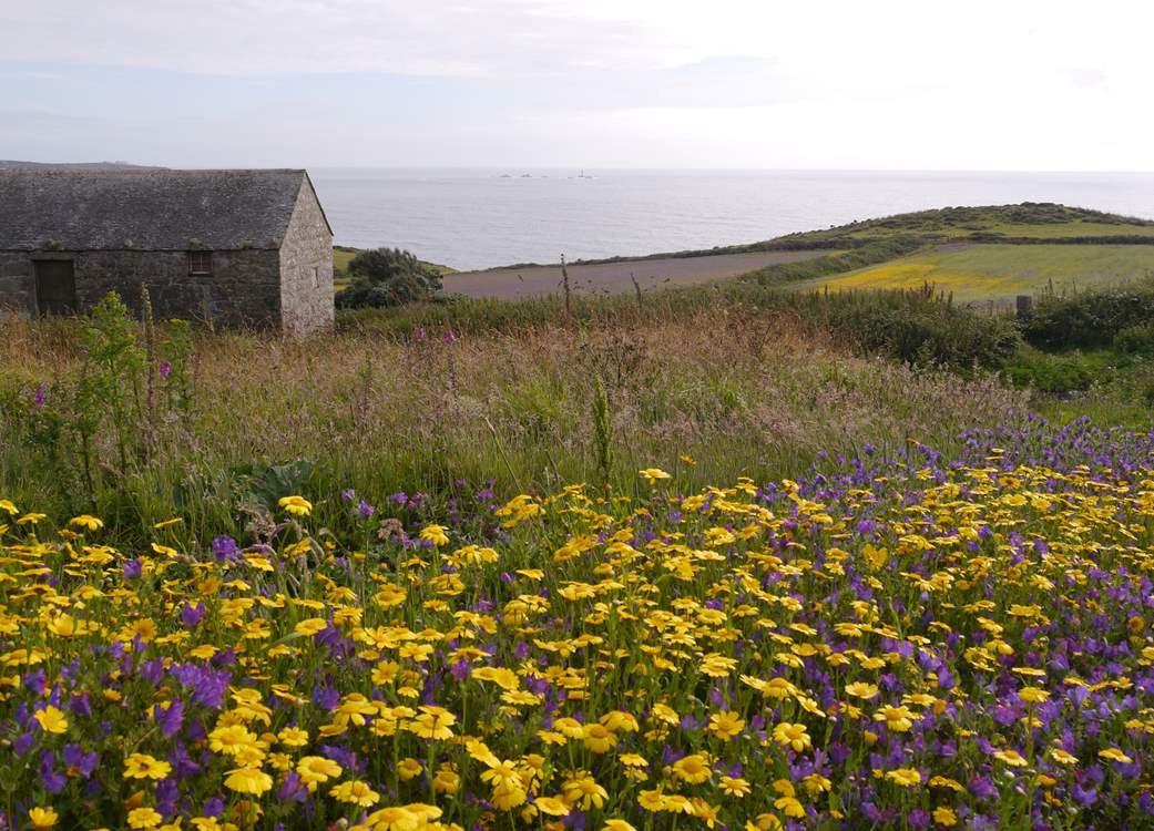 A great area for exploring the cliff paths of the far west.