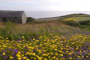 A great area for exploring the cliff paths of the far west.