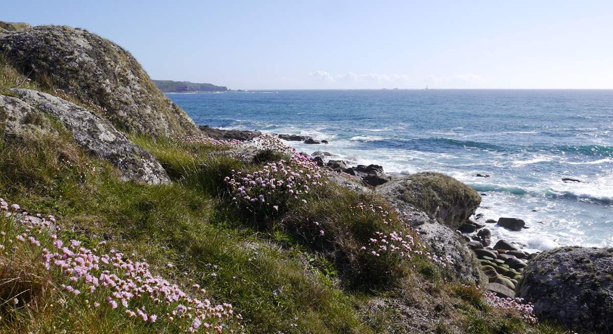 Plenty of coastal walks in the area.