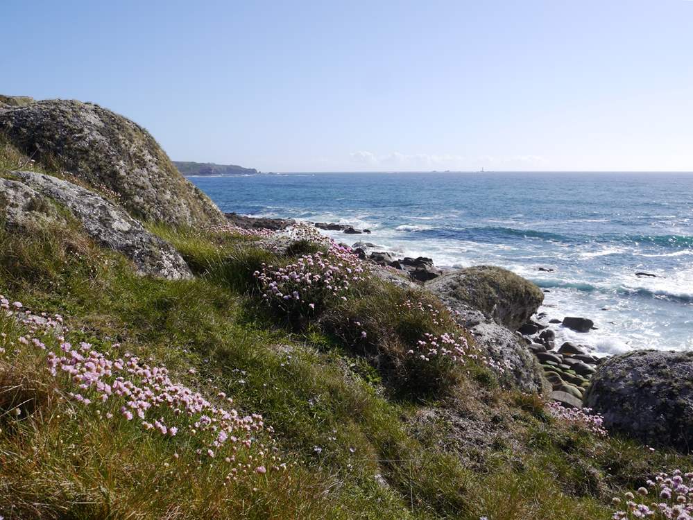 Plenty of coastal walks in the area.