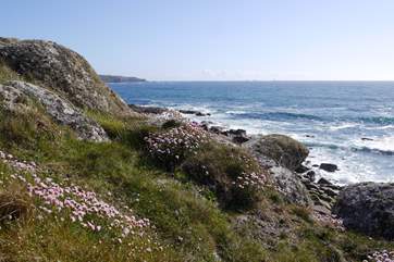 Plenty of coastal walks in the area.