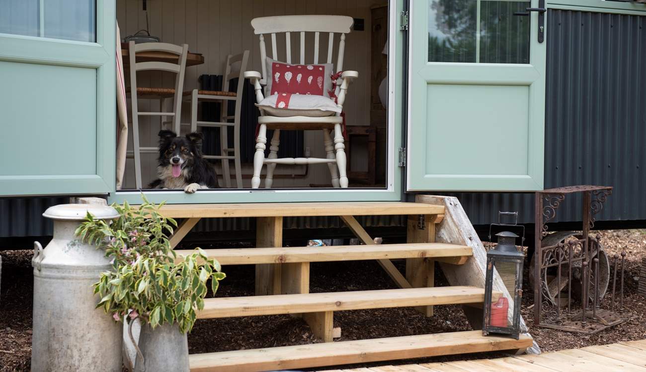 You are welcome to bring four-legged friends along for the adventure. 