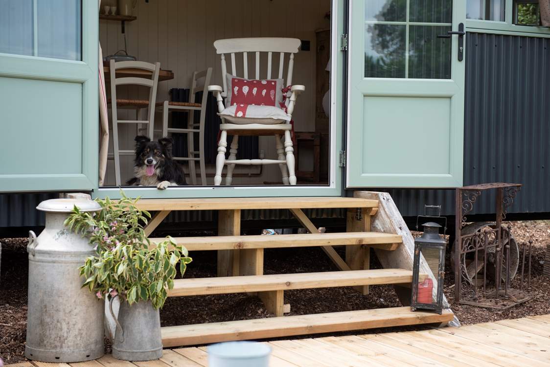 You are welcome to bring four-legged friends along for the adventure.