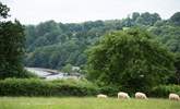 The view from the field behind the hut looks into Lerryn village.  - Thumbnail Image