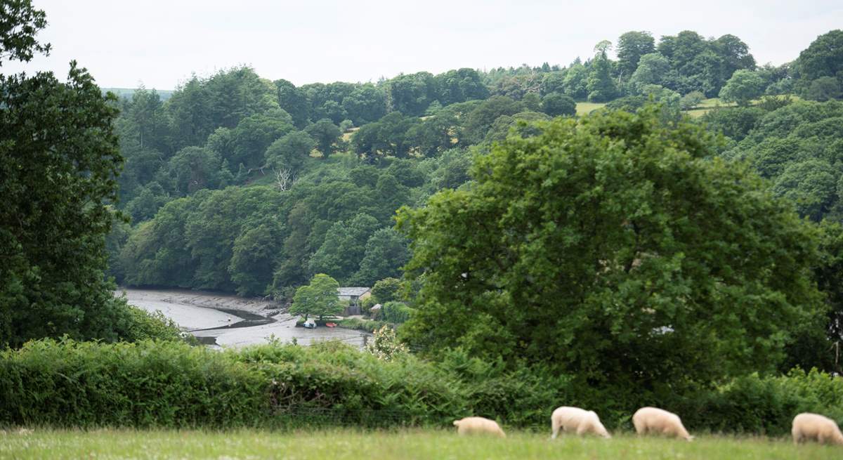 The view from the field behind the hut looks into Lerryn village. 