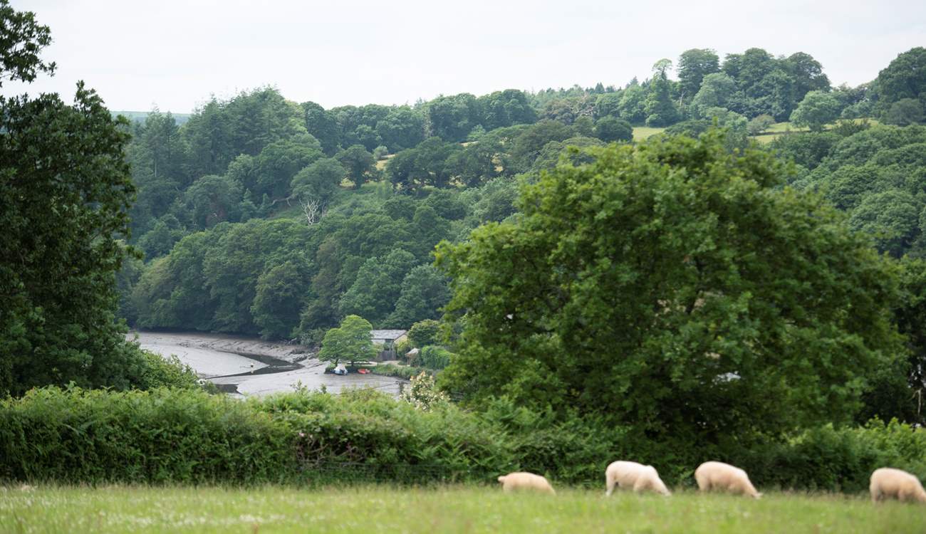 The view from the field behind the hut looks into Lerryn village. 