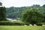 The view from the field behind the hut looks into Lerryn village.