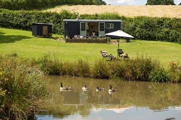 Shepherd's Rest sits in its own meadow with ponds and wildlife all around.