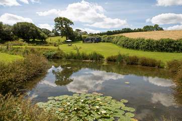 You are welcome to try your hand at fishing (please bring your own rods).
