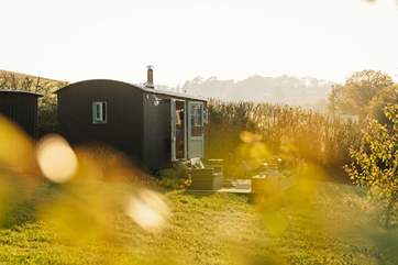 Welcome to Shepherd's Rest our soulful hideaway in the Cornish countryside.