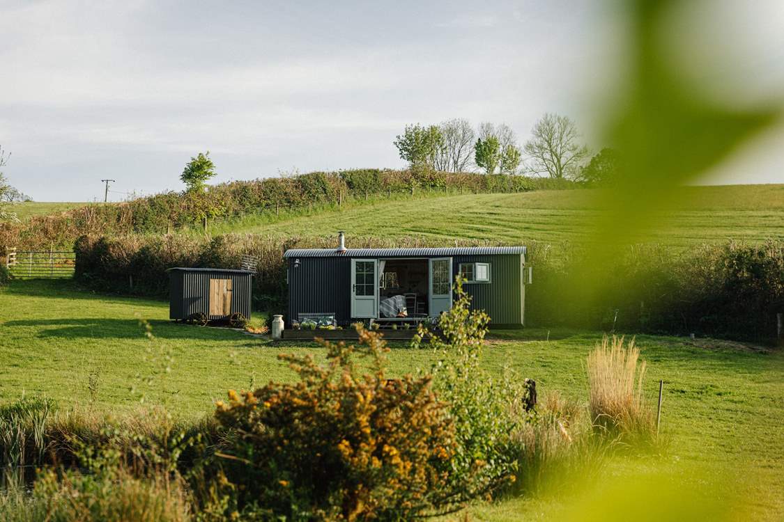 Shepherd's Rest looking gorgeous in the golden light.