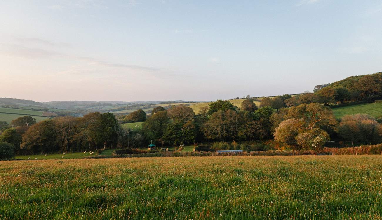 Just look at this location. An absolute dream! 