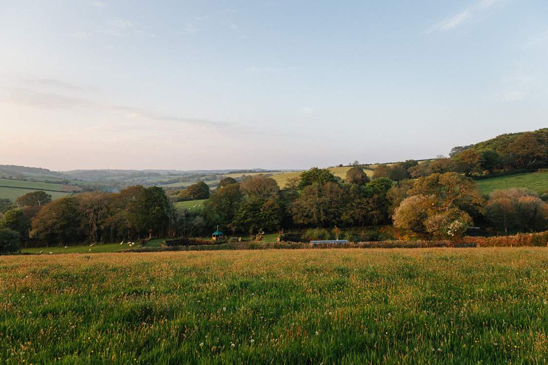 Just look at this location. An absolute dream!